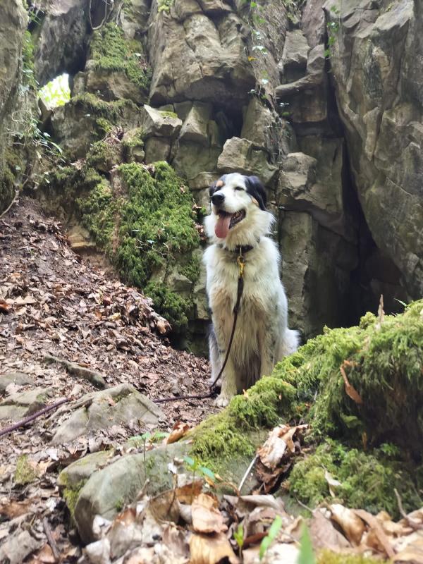 Balou