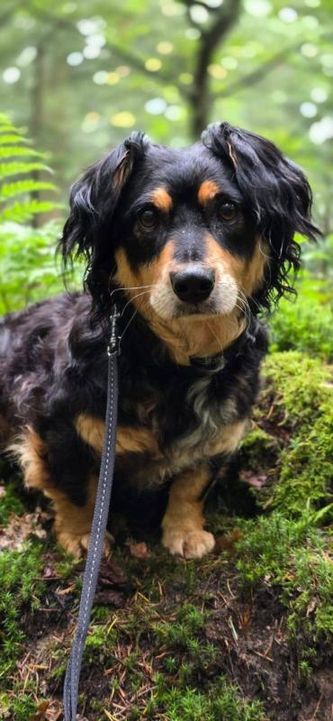 Benson