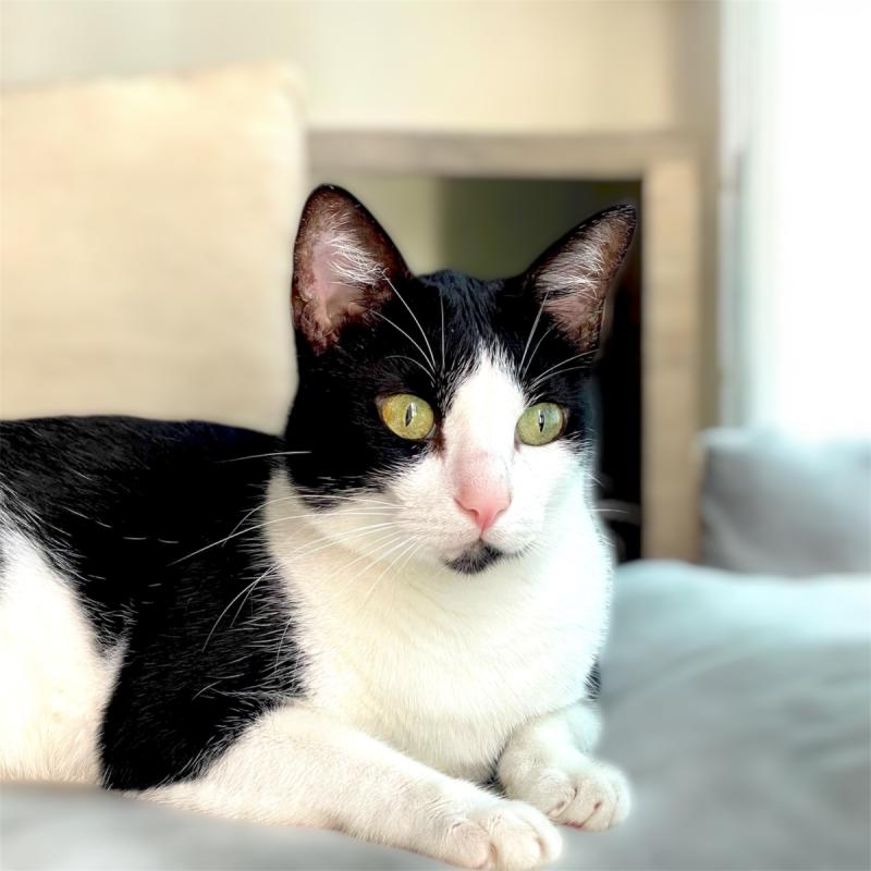 Lily-Mae