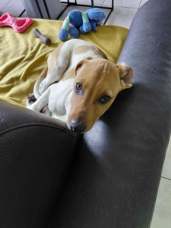 Max