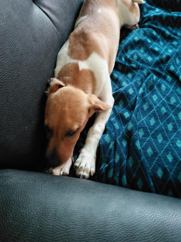 Max