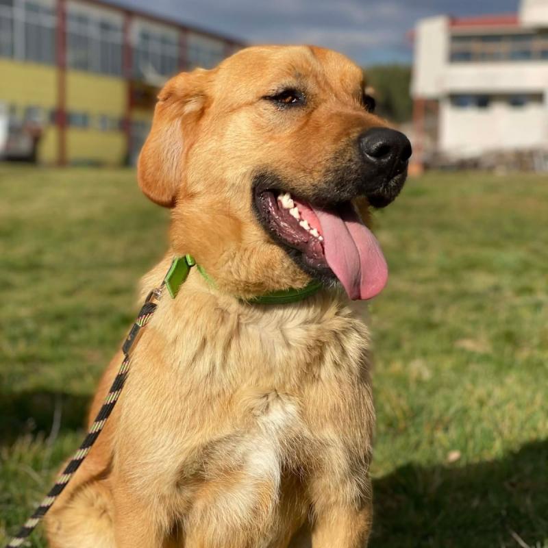 Winston