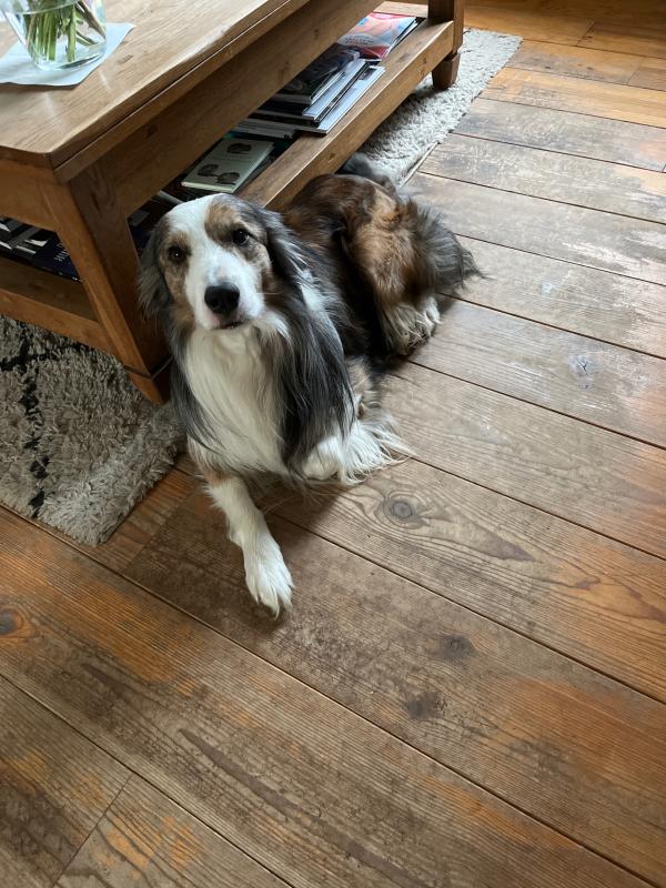 Kiko