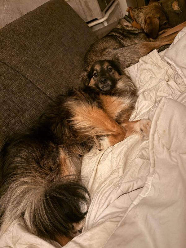 Molly