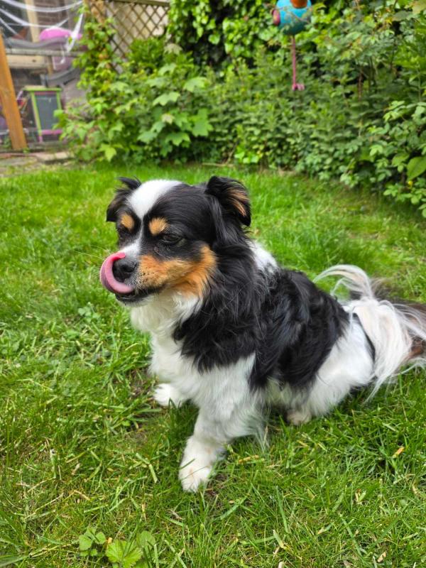 Bailey