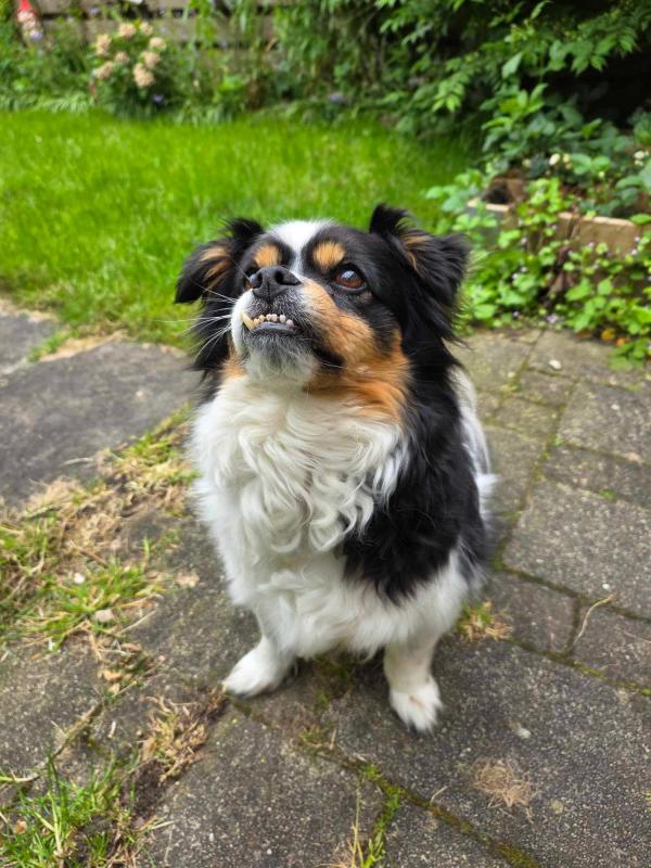 Bailey