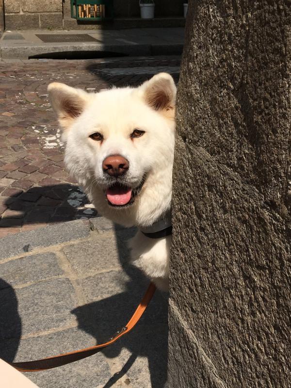 Laika