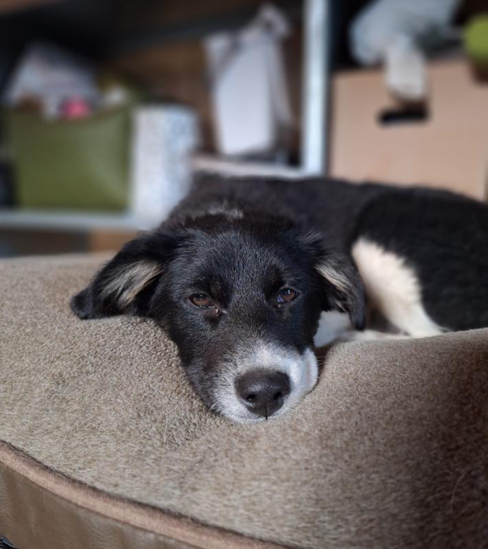 Skye