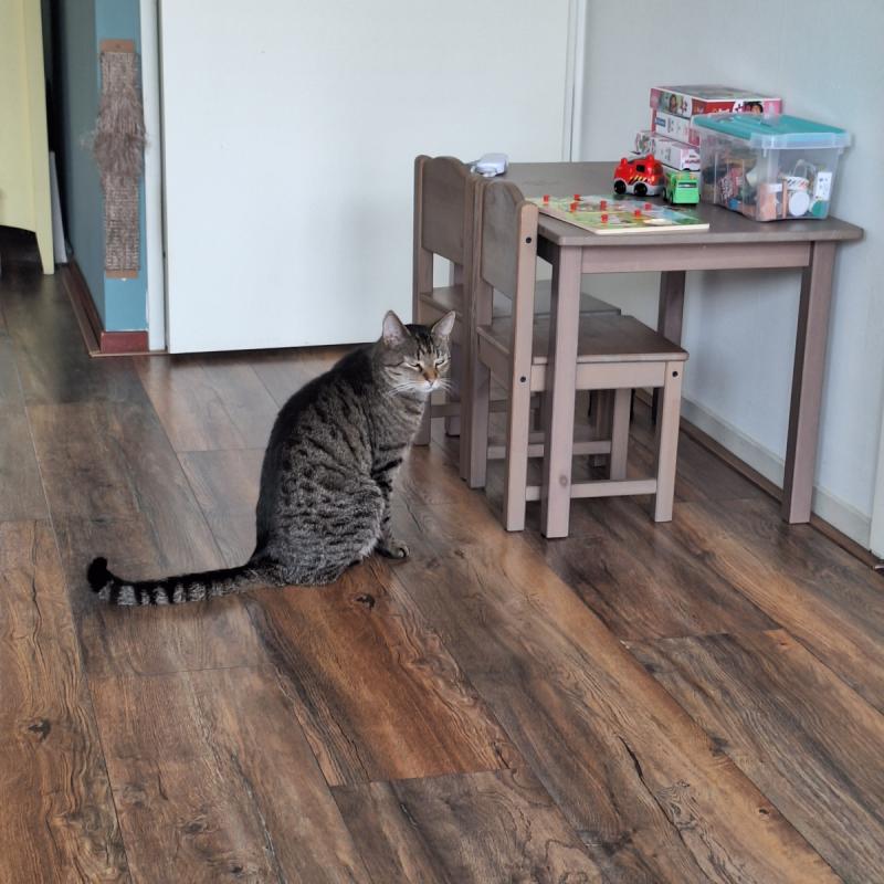 Milo