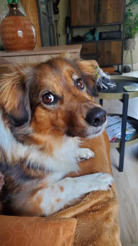 Harvey