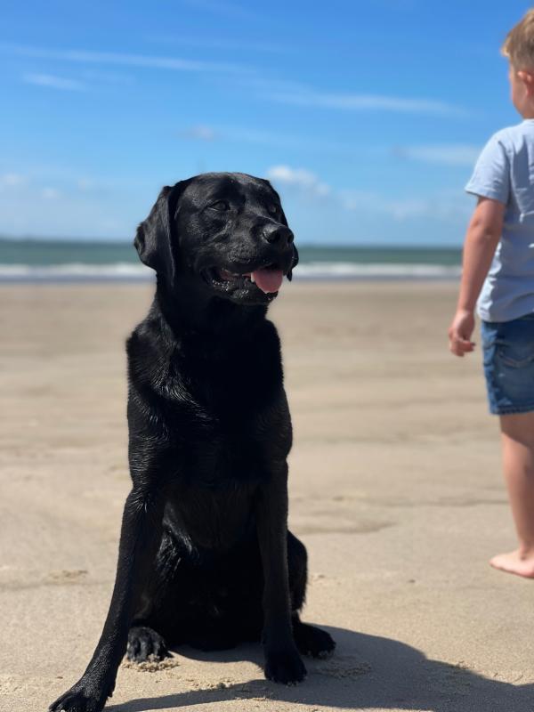 Tobi