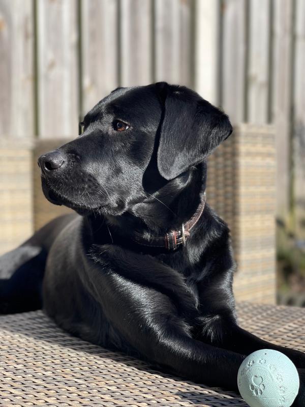 Tobi