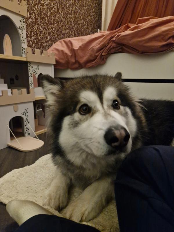 Boris