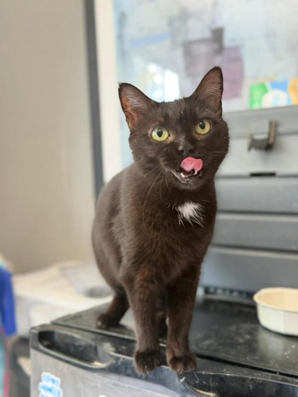 Betty