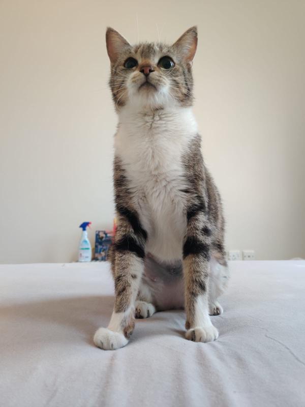 Freya