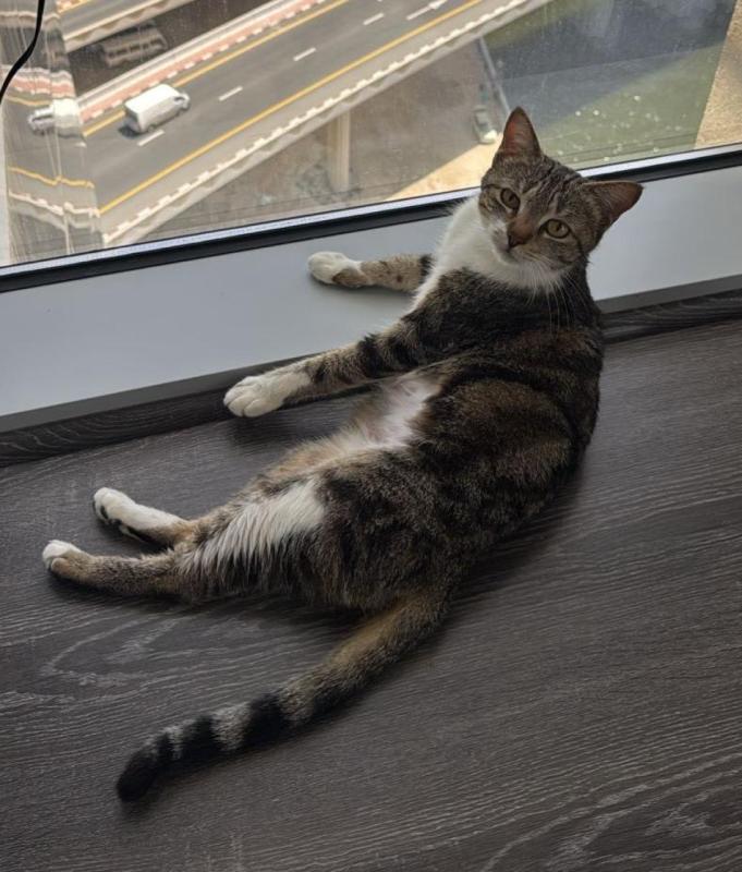 Freya