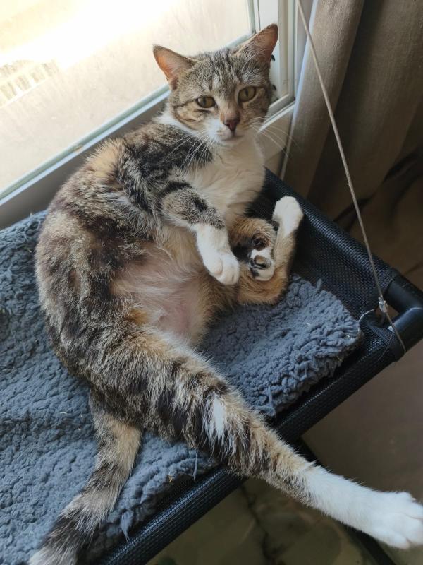 Freya
