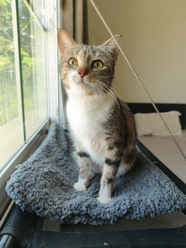 Freya