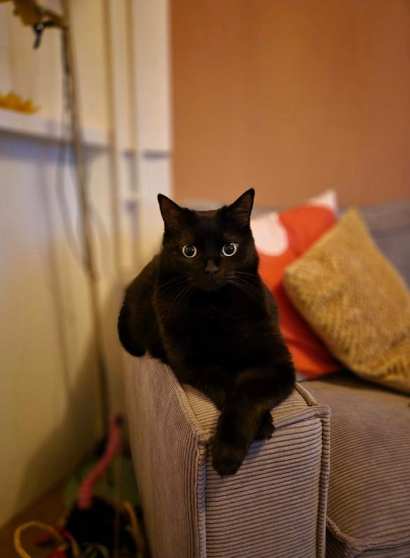 Zoëy