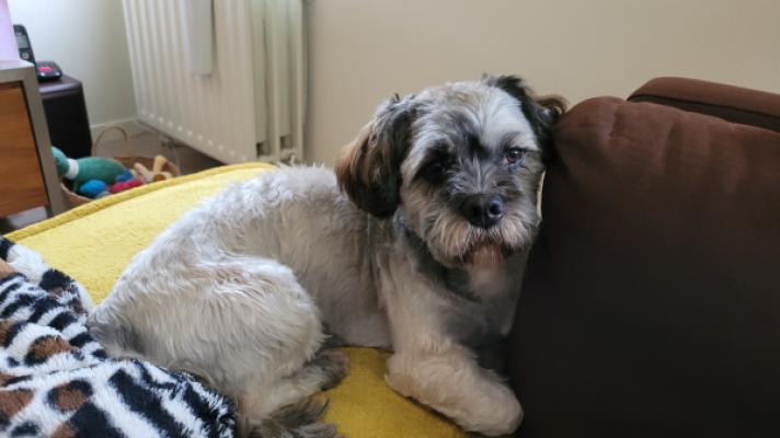 Sammy