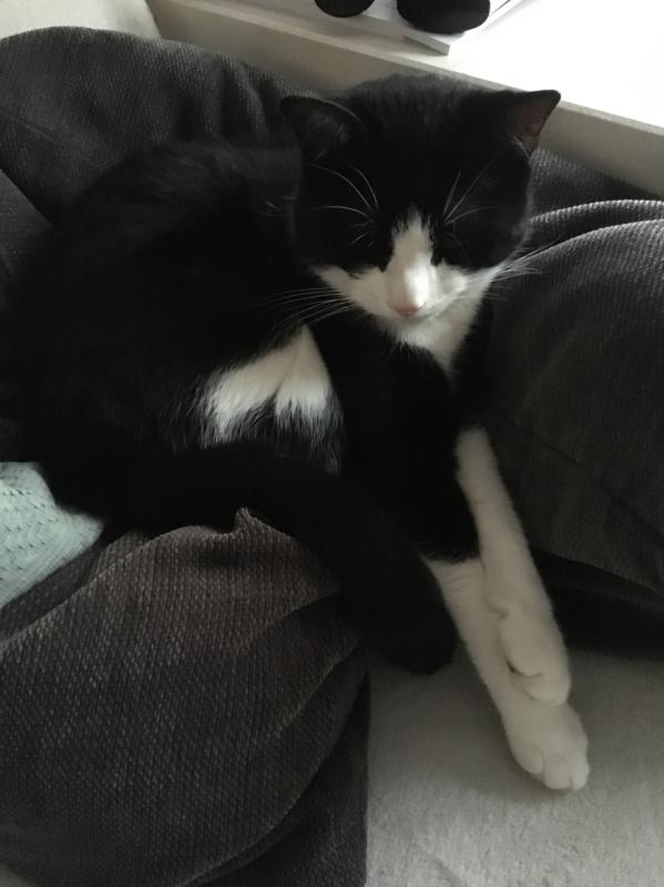 Nala