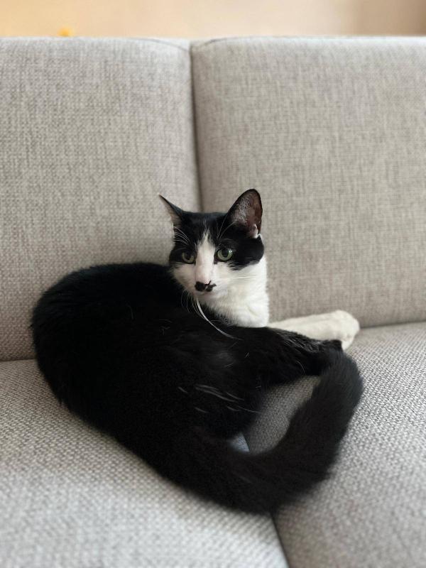 Boris