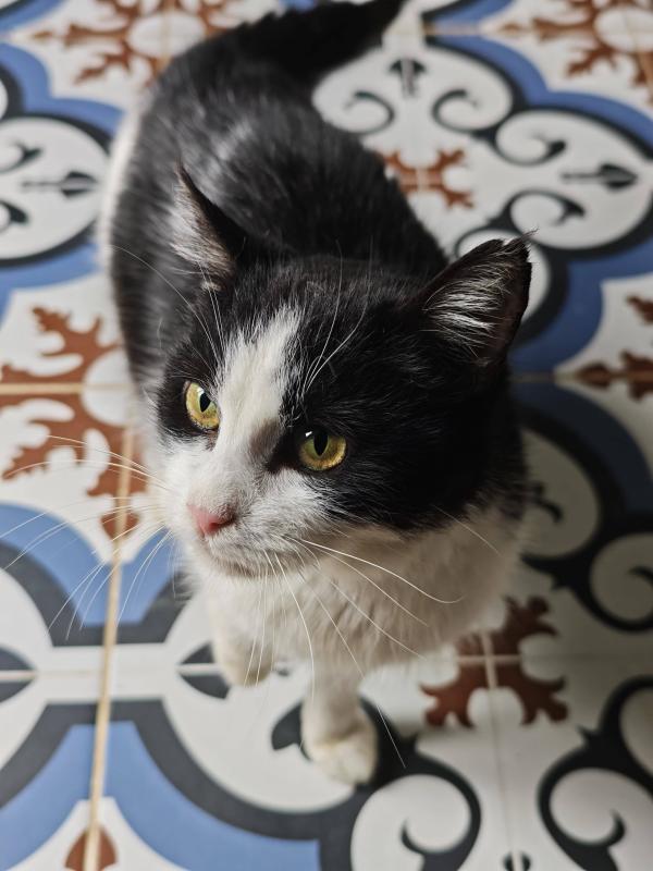 Marbie