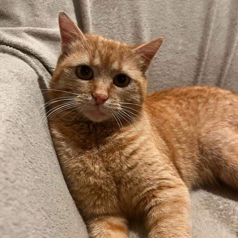 Leo