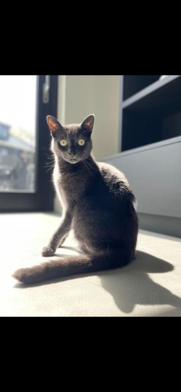 Izzy