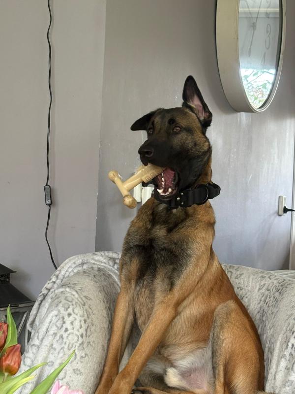 Dex