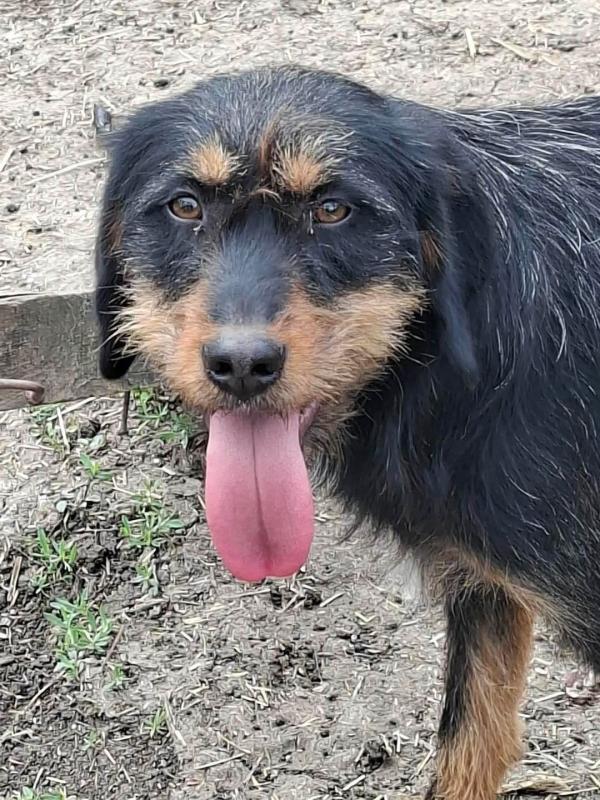 Maggie
