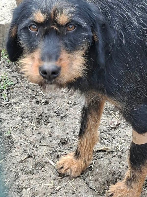 Maggie