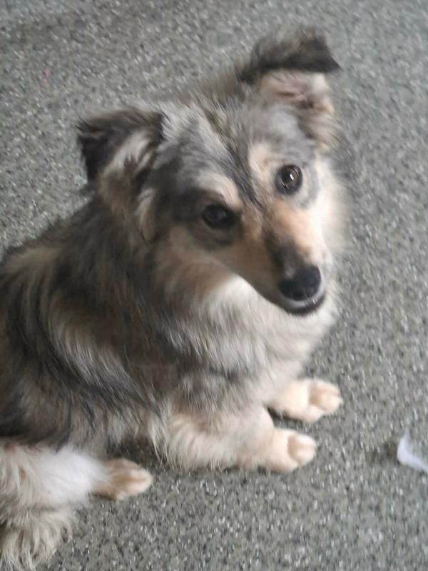 Kaya