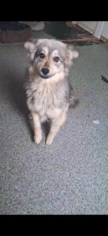 Kaya