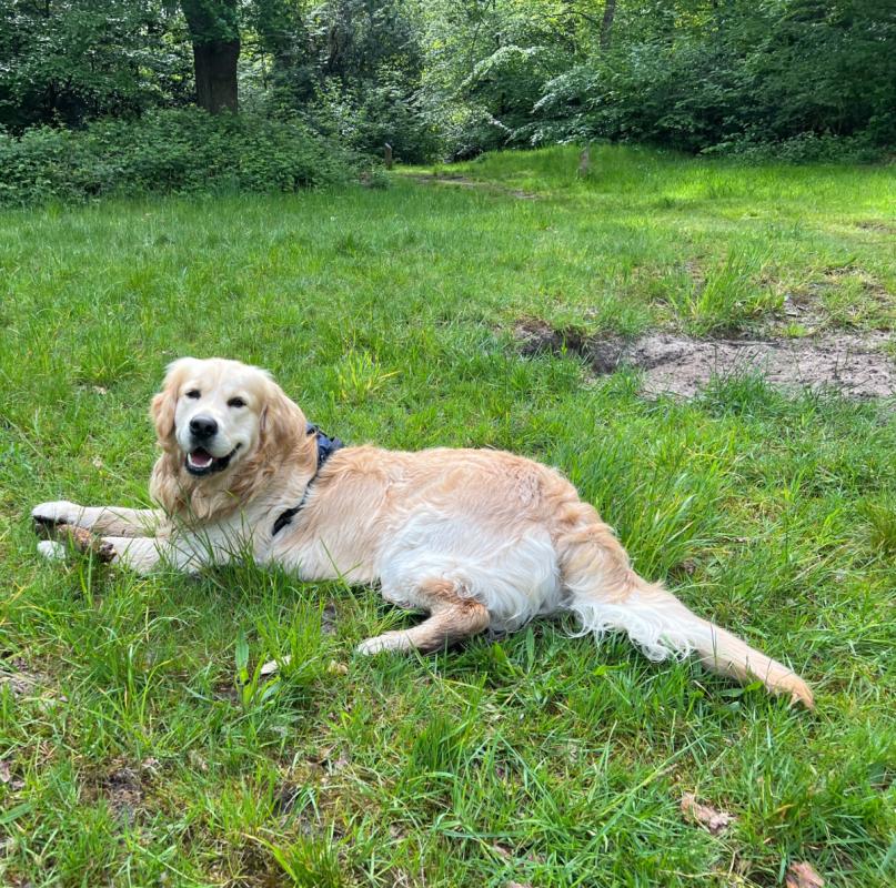 Joep