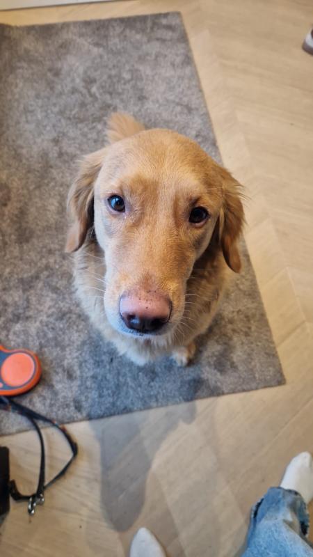 Milo