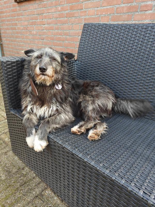 Mikkie