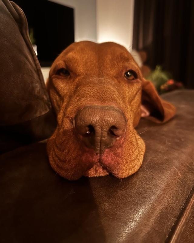 Bob