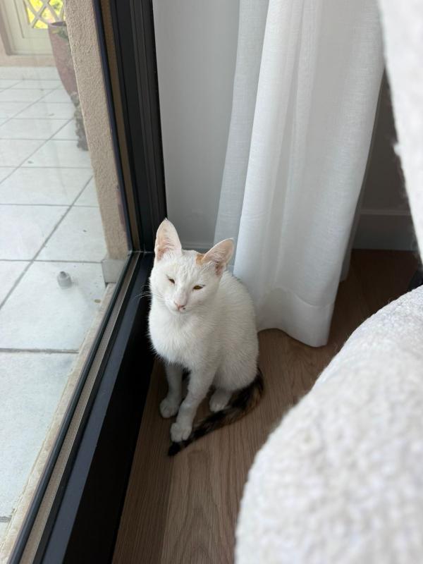 Mimi