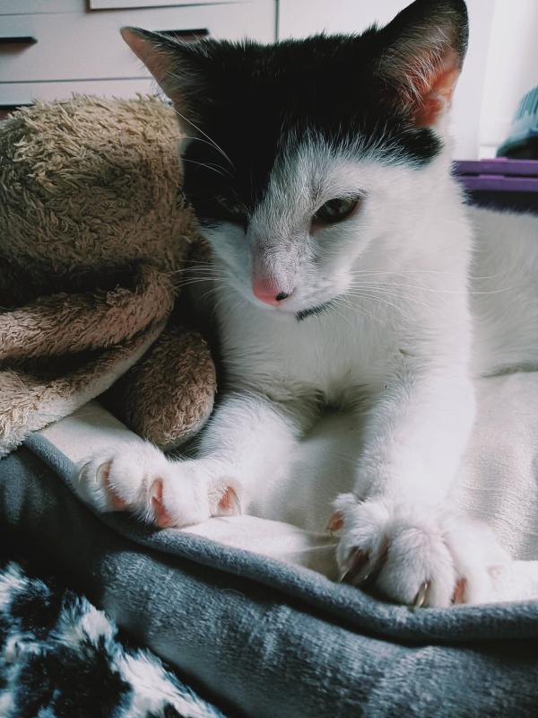 Mimi