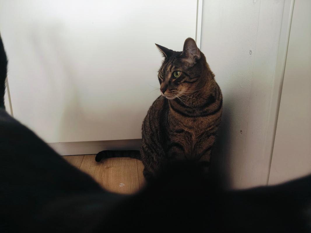 Oskar