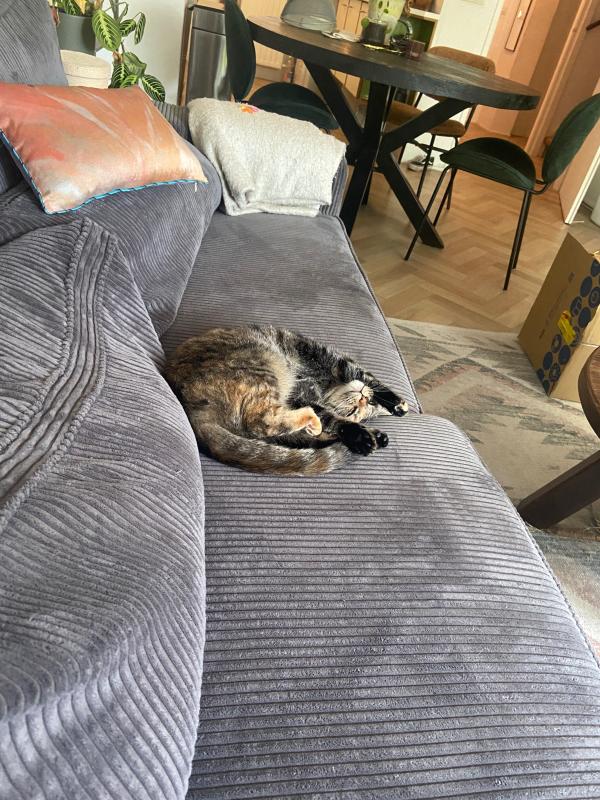 Puki