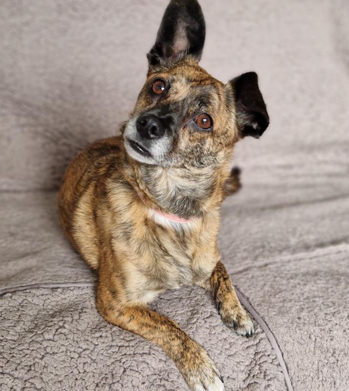 Pepper