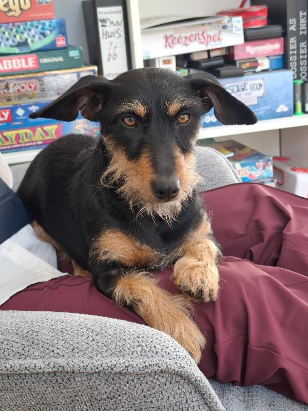 Pip