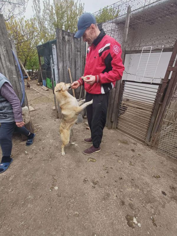Anka
