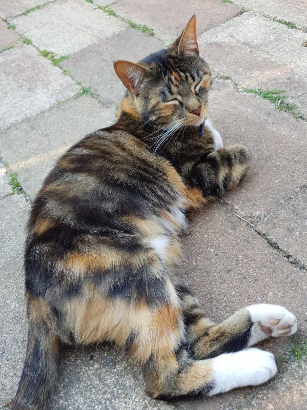Luna