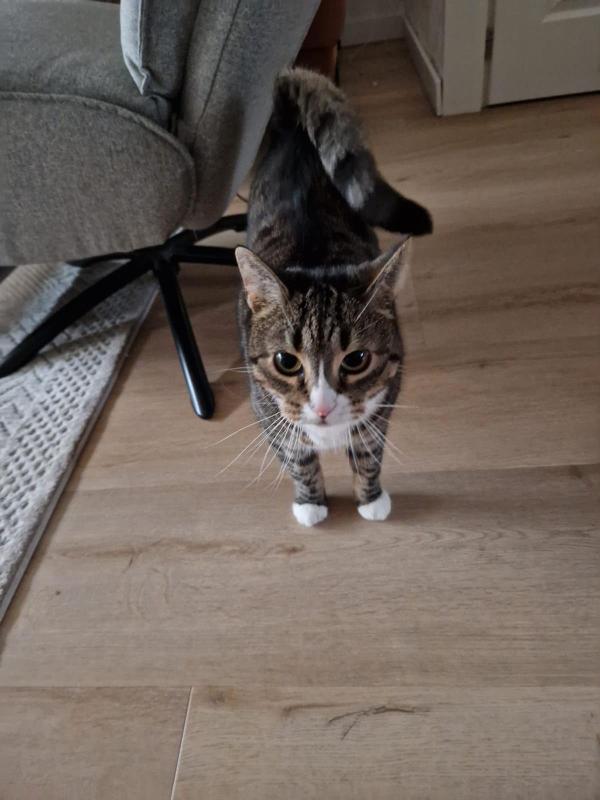 Mila
