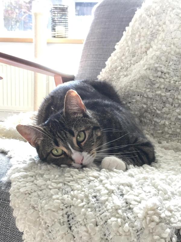 Mila