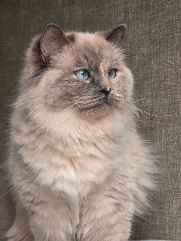 Yuki