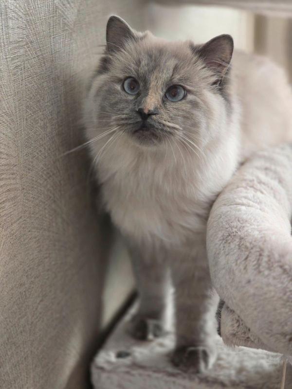 Yuki